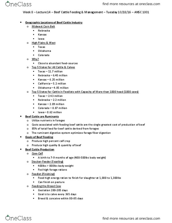 ANSC 1001 Lecture Notes - Lecture 14: Red Meat, Preconditioner, Omega-3 Fatty Acid thumbnail