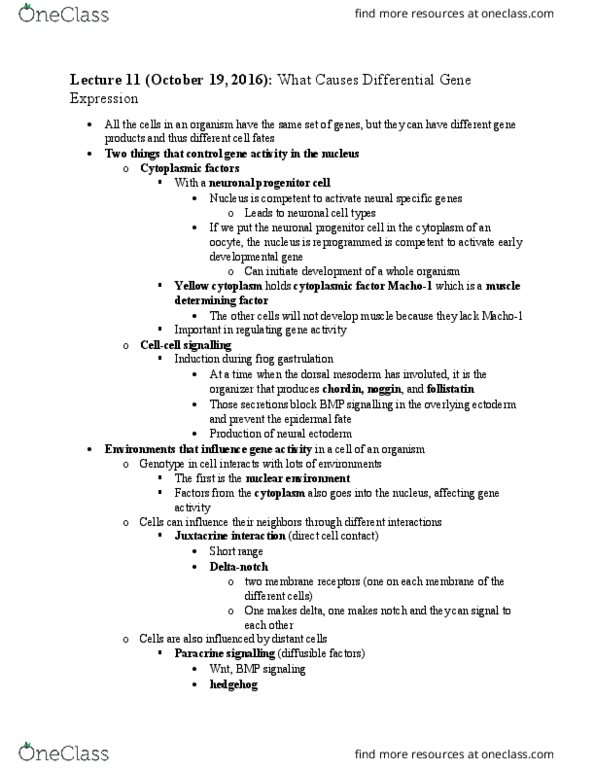 CSB328H1 Lecture Notes - Lecture 11: Dermis, Neurotrophin-3, Claudin thumbnail