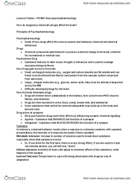 PSYB65H3 Lecture Notes - Lecture 5: Opioid Use Disorder, Methadone, Cyclic Adenosine Monophosphate thumbnail