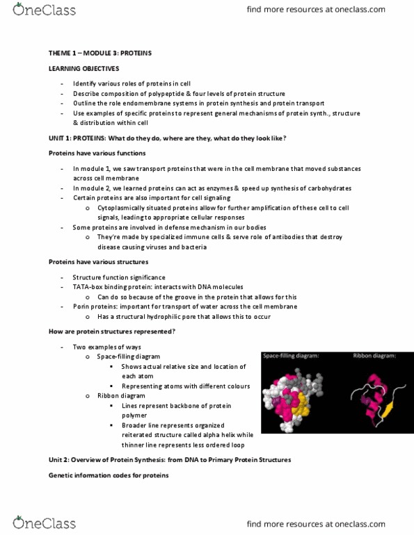 BIOLOGY 1A03 Lecture Notes - Lecture 6: Nuclear Pore, Ribbon Diagram, Nuclear Membrane thumbnail