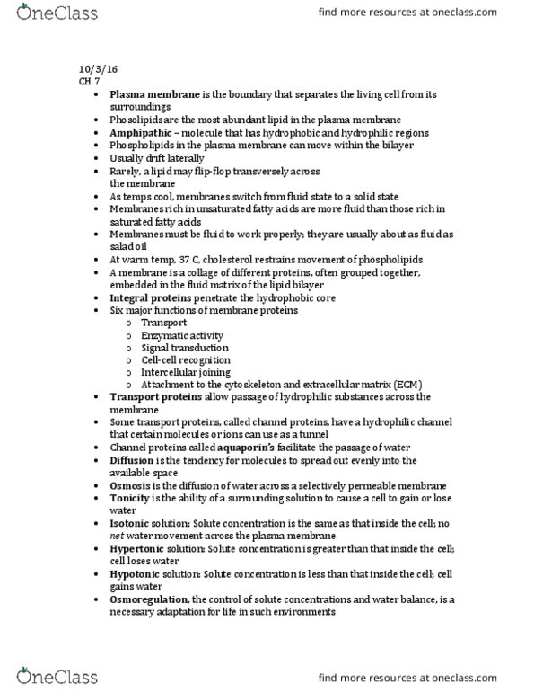 BSC-2010 Lecture Notes - Lecture 5: Lipid Bilayer, Vegetable Oil, Cell Membrane thumbnail