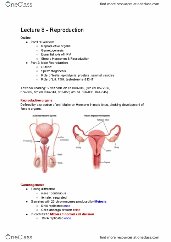 PSL300H1 Lecture Notes - Lecture 1: Sertoli Cell, Male Reproductive System, Seminiferous Tubule thumbnail