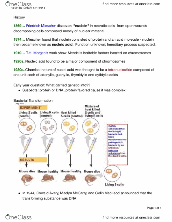 BIO 311C Lecture Notes - Lecture 15: Maclyn Mccarty, Friedrich Miescher, Maurice Wilkins thumbnail