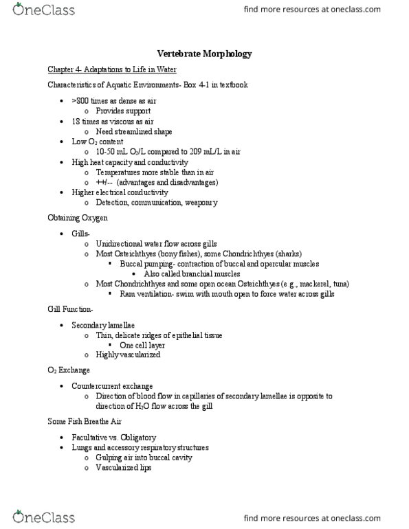 BIOL 3114 Lecture Notes - Lecture 4: Rete Mirabile, Swim Bladder, Neutral Buoyancy thumbnail