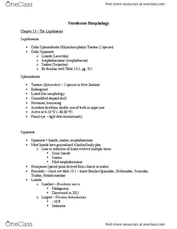 BIOL 3114 Lecture Notes - Lecture 12: Brookesia Micra, Rhynchocephalia, Reticulated Python thumbnail