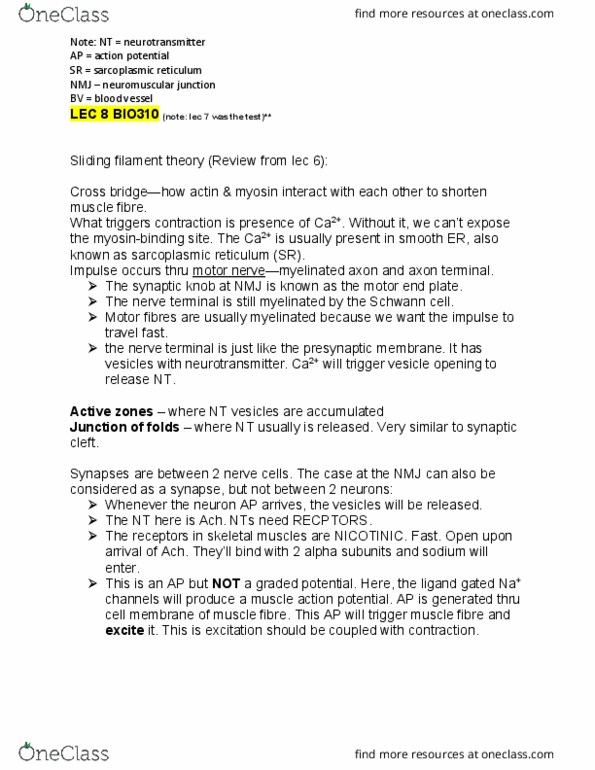 BIO310H5 Lecture Notes - Lecture 8: Sliding Filament Theory, Neuromuscular Junction, Myocyte thumbnail