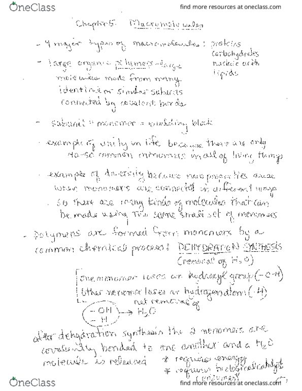BIOL 101 Lecture Notes - Lecture 5: Han Han, Leucine, Valine thumbnail