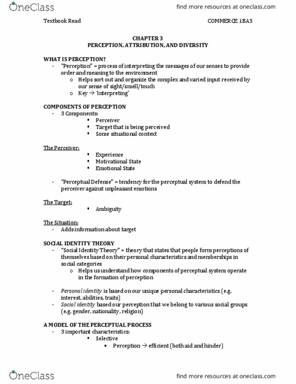 COMMERCE 1BA3 Lecture Notes - Lecture 3: Fundamental Attribution Error, Gender Role, Personal Identity thumbnail