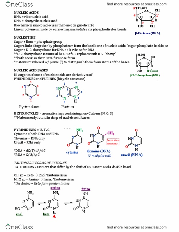 BIOC 2580 Lecture Notes - Lecture 6: Enol, Purine, Heterocyclic Compound thumbnail