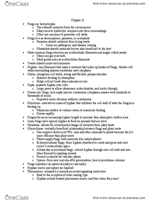 BISC 121Lg Chapter Notes - Chapter 31: Arbuscular Mycorrhiza, Nucleariida, Plasmogamy thumbnail