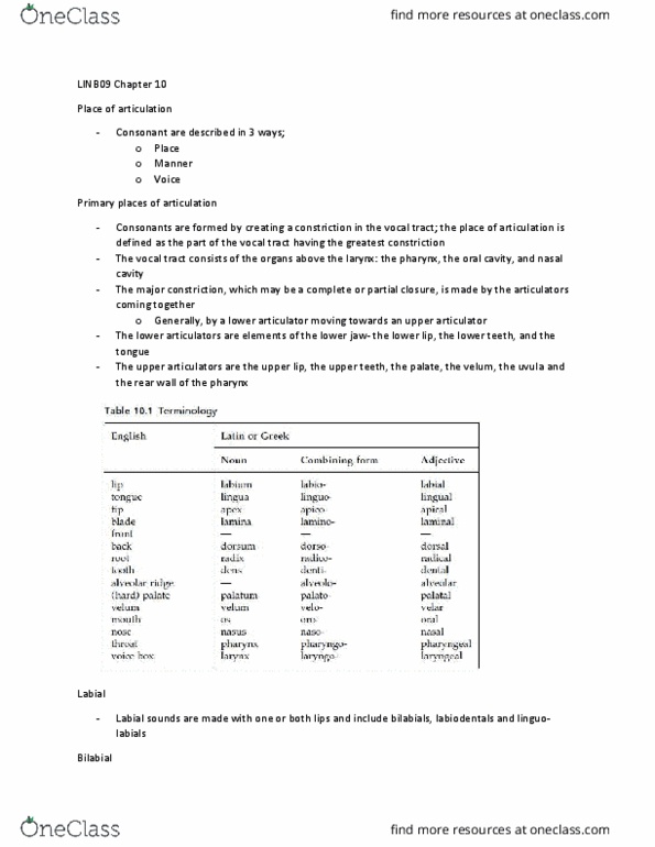 LINB09H3 Chapter Notes - Chapter 10: Alveolo-Palatal Consonant, Velar Nasal, Linguolabial Consonant thumbnail