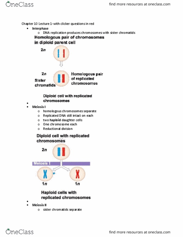 LIFE 120 Lecture Notes - Lecture 20: Sister Chromatids, Dna Replication, Cohesin thumbnail