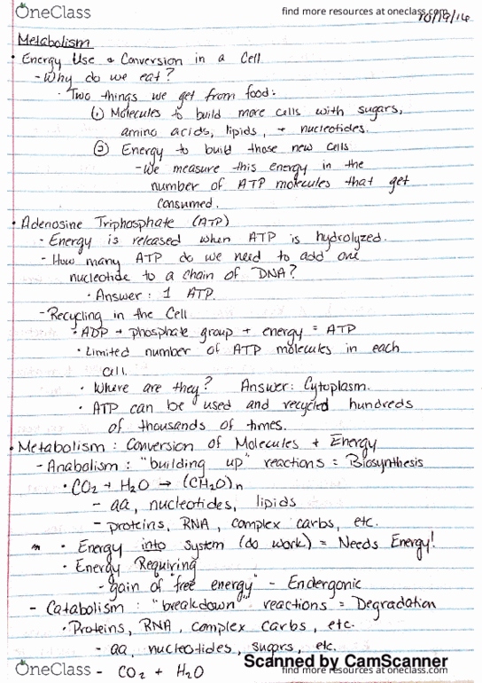 BSC1010C Lecture 20: Intro to Metabolism 10.19.16 thumbnail