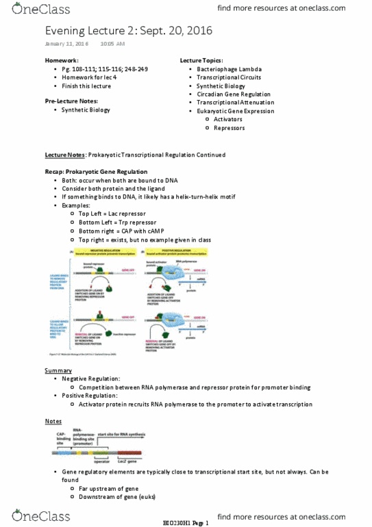 BIO230H1 Lecture Notes - Lecture 3: Lambda Phage, Lac Repressor, Rna-Seq thumbnail