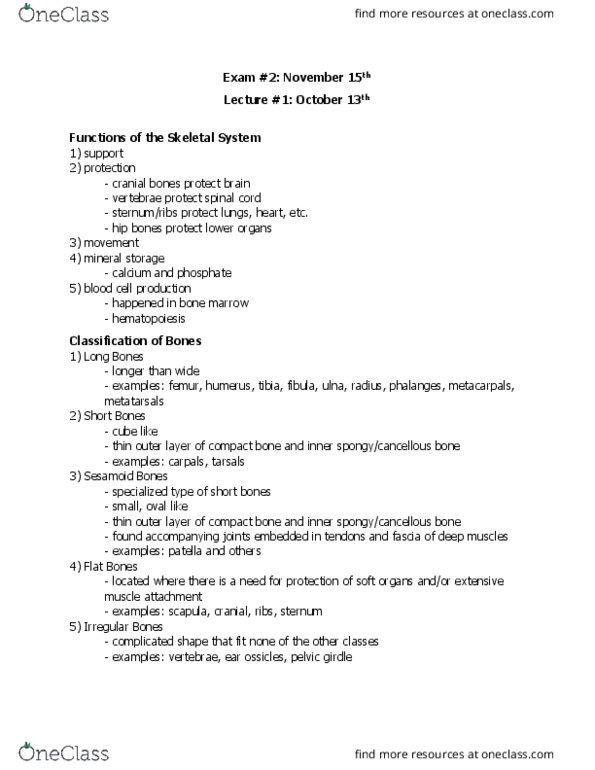 BIOL 207 Lecture Notes - Lecture 11: Sesamoid Bone, Metacarpal Bones, Haematopoiesis thumbnail