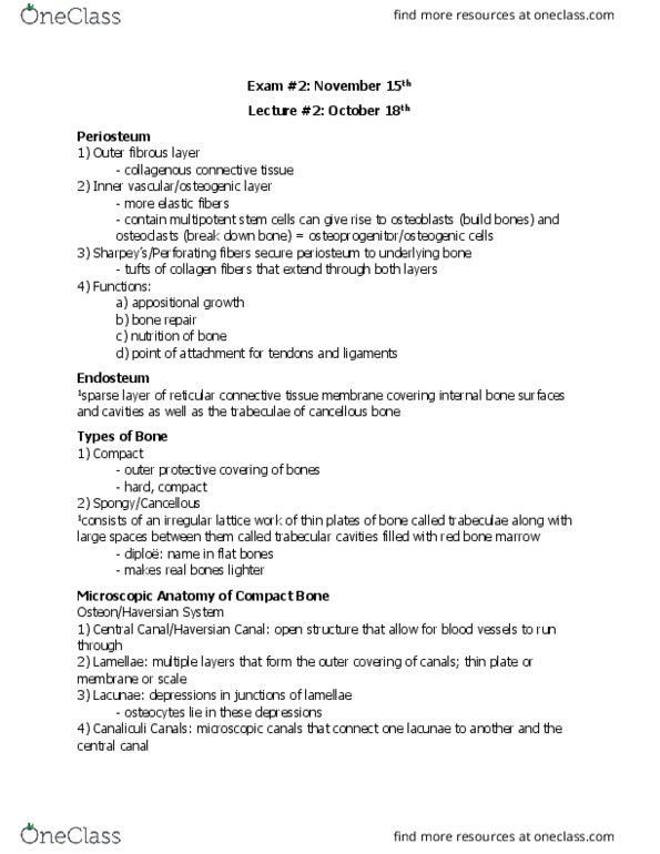 BIOL 207 Lecture Notes - Lecture 12: Reticular Connective Tissue, Bone Marrow, Bone thumbnail