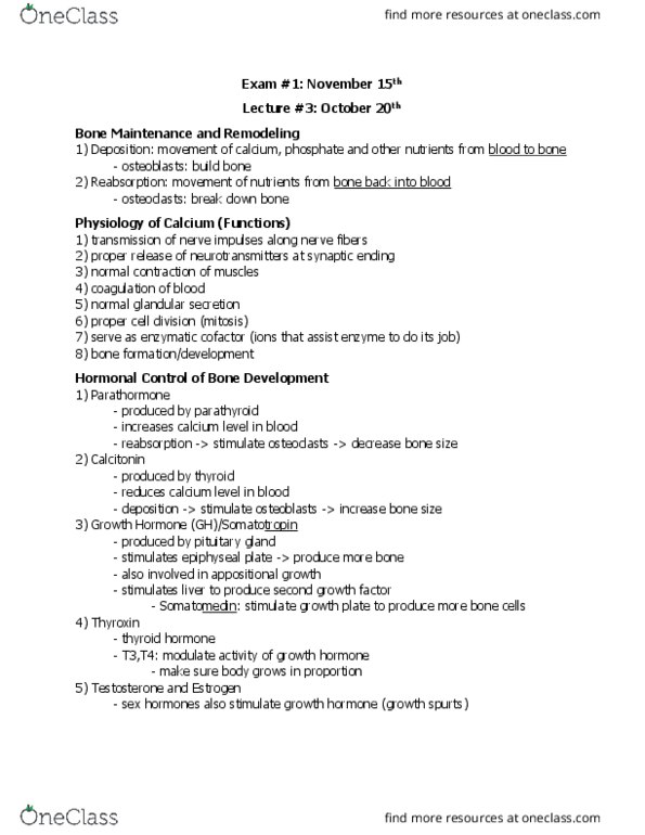 BIOL 207 Lecture Notes - Lecture 13: Somatomedin, Epiphyseal Plate, Osteoclast thumbnail