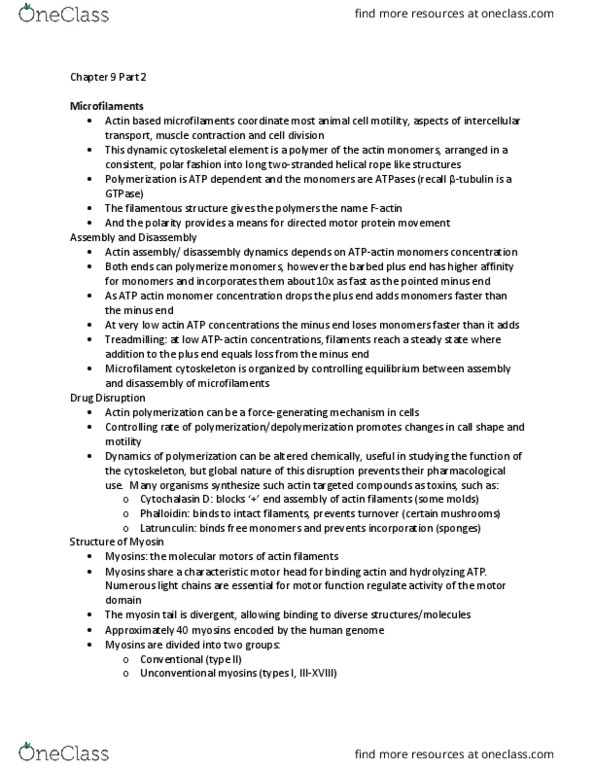 BSC 300 Lecture Notes - Lecture 18: Sliding Filament Theory, Myosin, Skeletal Muscle thumbnail