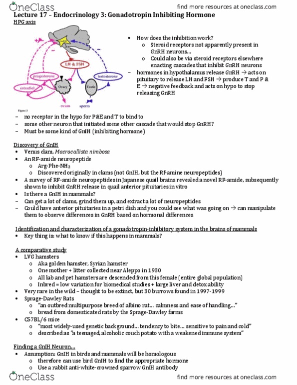 Biology 3601A/B Lecture Notes - Lecture 17: Golden Hamster, Petri Dish, Neuropeptide thumbnail