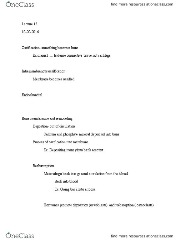 BIOL 207 Lecture Notes - Lecture 13: Intramembranous Ossification, Thyroid, Phosphate Minerals thumbnail