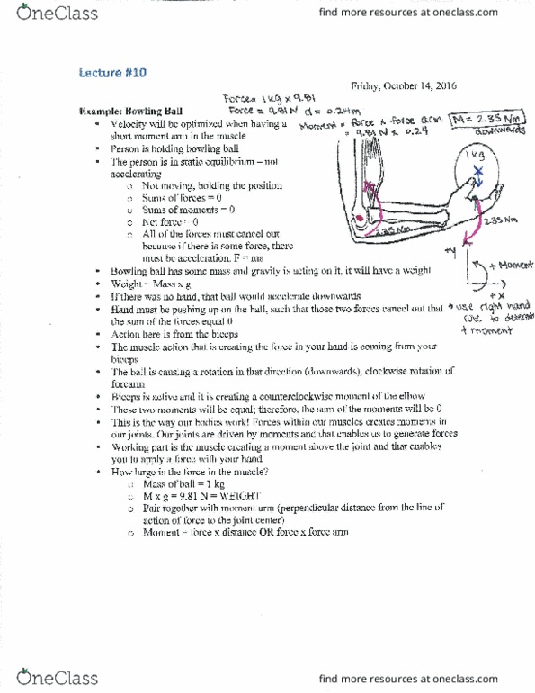 Kinesiology 3341A/B Lecture Notes - Lecture 6: Bowling Ball, Biceps, Force Platform thumbnail