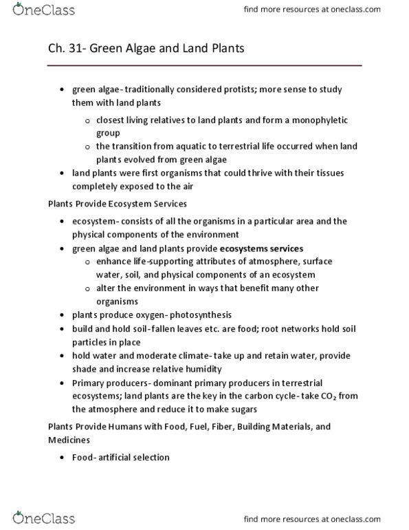 BIOL 119 Chapter Notes - Chapter 31: Non-Vascular Plant, Ecosystem Services, Paraphyly thumbnail