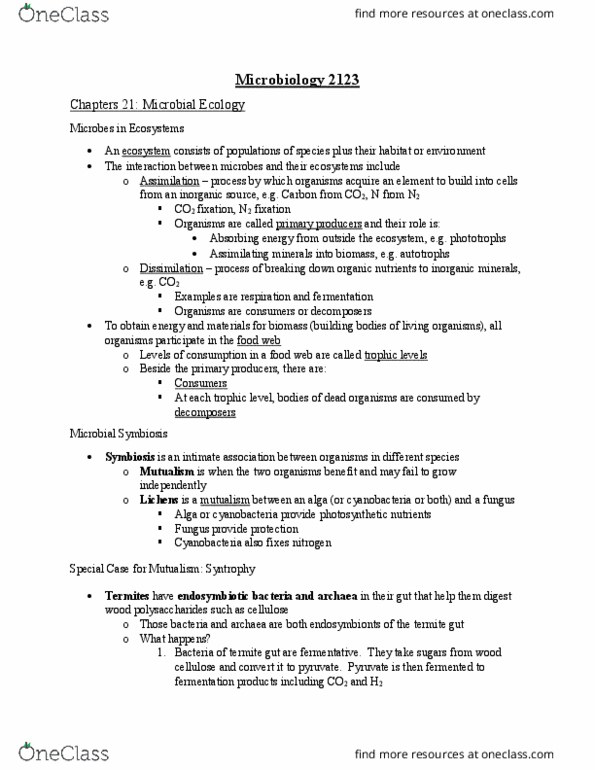 MICR 2123 Lecture Notes - Lecture 14: Syntrophy, Pelagic Zone, Nitrogen Fixation thumbnail