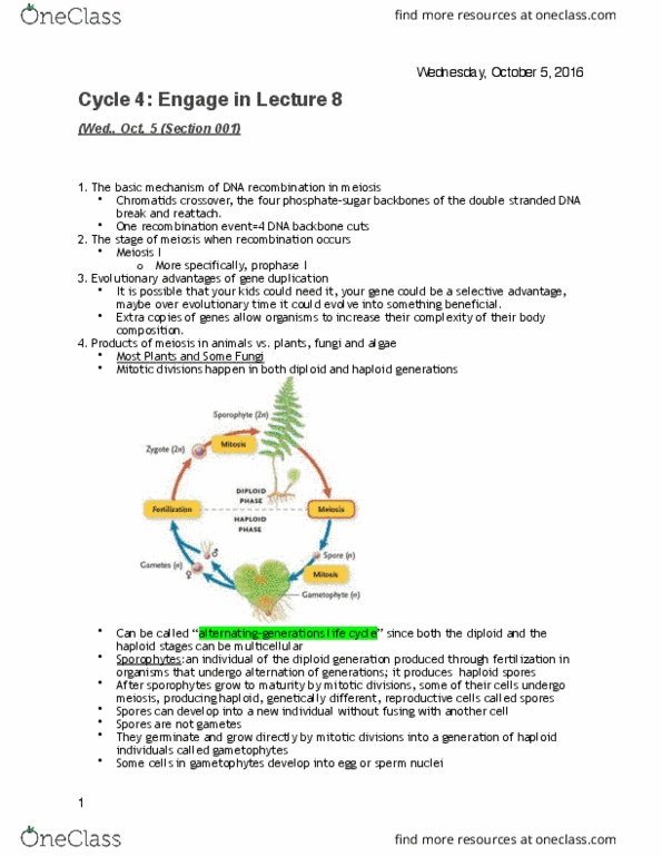 Biology 1001A Lecture Notes - Lecture 4: Sphagnum, Sporophyte, Cell Nucleus thumbnail