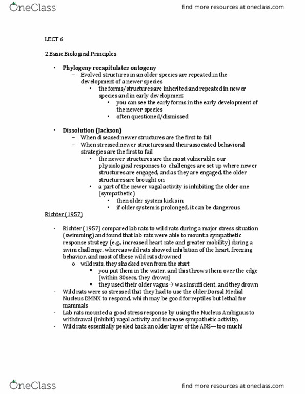 PSYC23H3 Lecture Notes - Lecture 6: Cortisol, Stimulus Modality, Attachment In Adults thumbnail