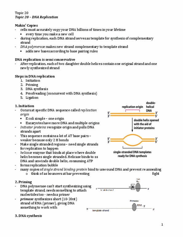 Biochemistry 2280A Lecture Notes - Telomerase, Azide, Chromosome thumbnail