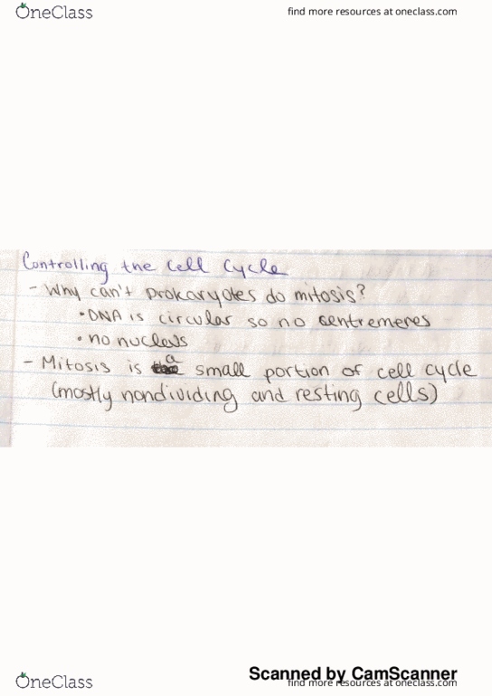 BIO 110 Lecture 18: Cell Cycle Regulation thumbnail