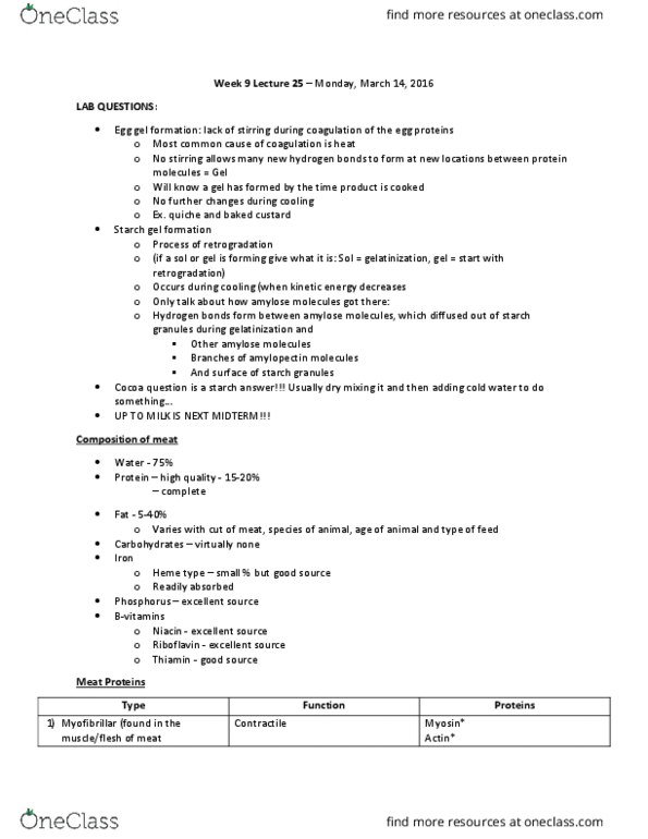 HTM 2700 Lecture Notes - Lecture 25: Quiche, Amylose, Myocyte thumbnail