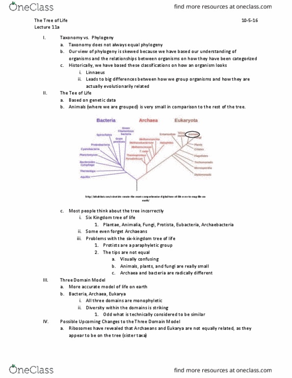 BIO 200 Lecture Notes - Lecture 11: Horizontal Gene Transfer, Domain Model, Archaea thumbnail