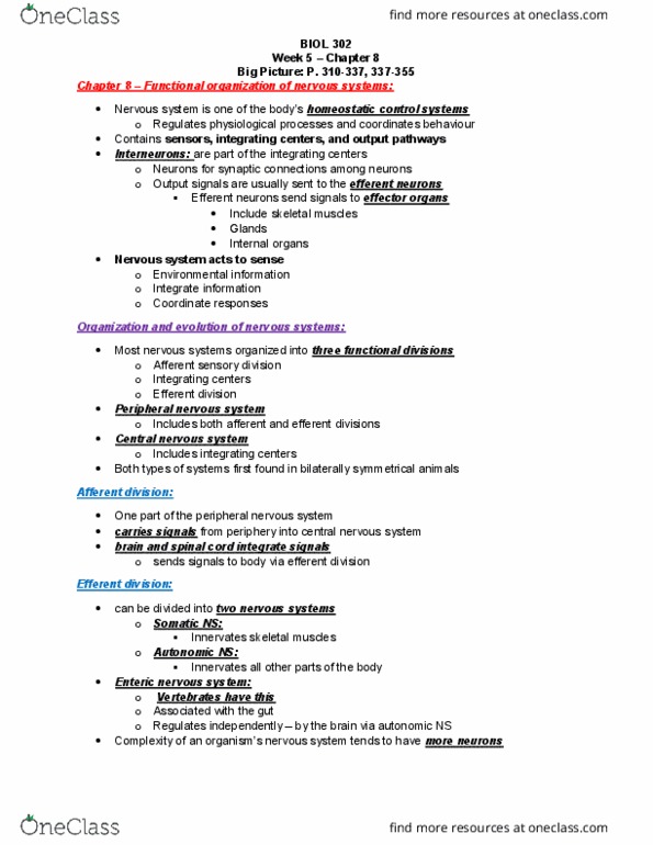 BIOL 339 Chapter Notes - Chapter 8: Efferent Nerve Fiber, Peripheral Nervous System, Enteric Nervous System thumbnail