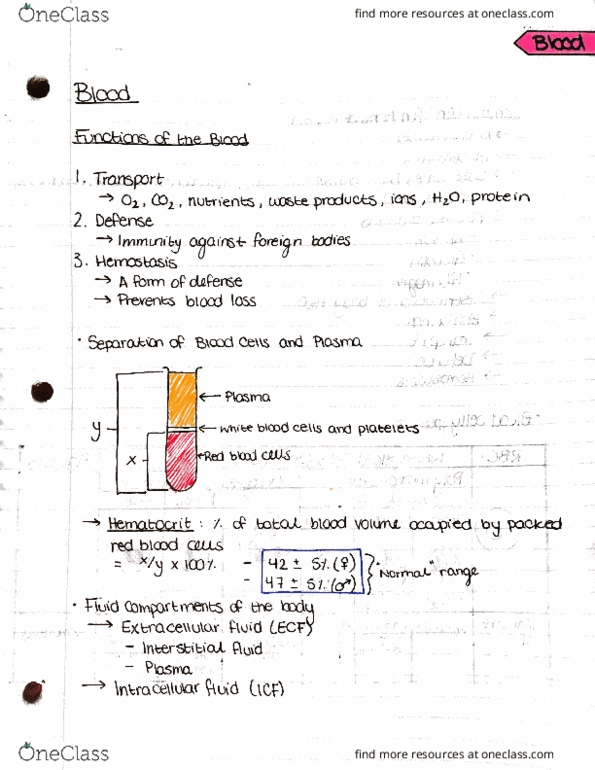 PHYSL212 Lecture Notes - Lecture 2: Indo-Asian News Service, Inta, Biliverdin thumbnail