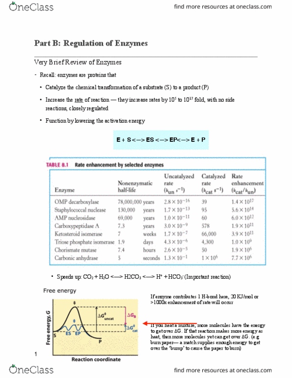 BIOC 3560 Midterm: Part B - Bioc 3560 - OneClass