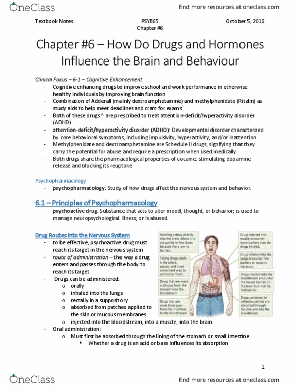 PSYB65H3 Chapter Notes - Chapter 6: Dextroamphetamine, Latrodectus, Ketamine thumbnail