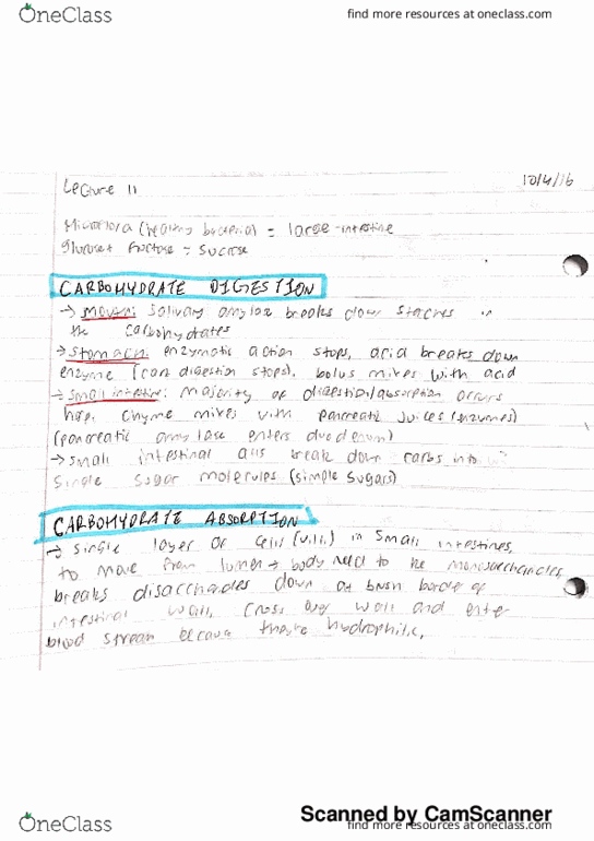 NUTR 400 Lecture 11: NUTR 400 LEC 11 thumbnail