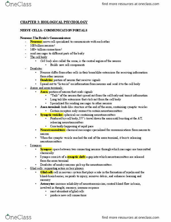 PSY 102 Chapter Notes - Chapter 3: Phineas Gage, Oligodendrocyte, Prolactin thumbnail