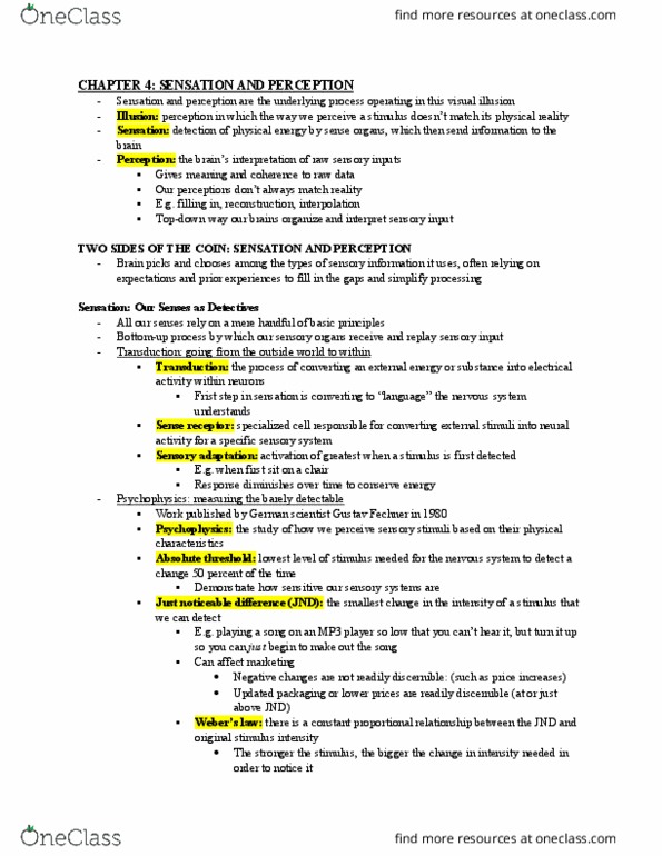 PSY 102 Chapter Notes - Chapter 4: Optical Illusion, Ponzo Illusion, Brainstem thumbnail