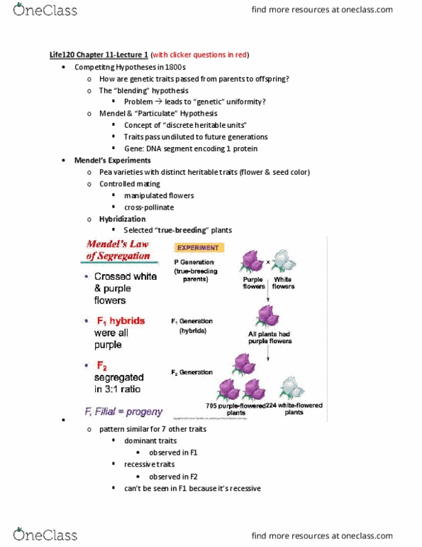 LIFE 120 Lecture Notes - Lecture 20: Punnett Square, Chromosome, Epistasis thumbnail