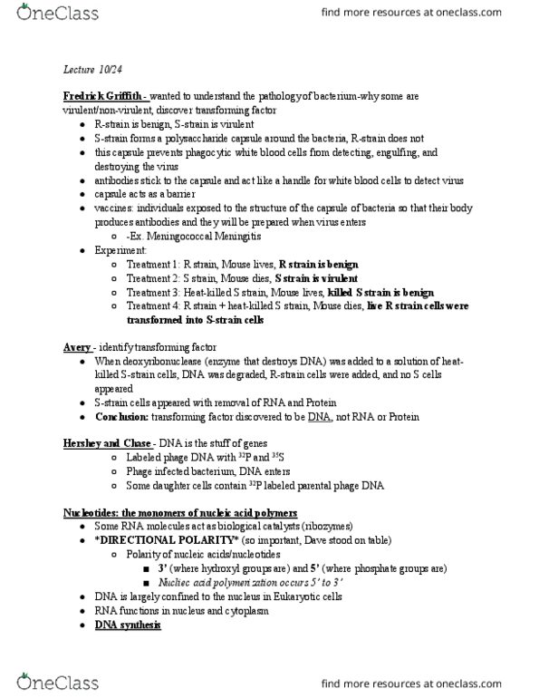 BIOL 2100 Lecture Notes - Lecture 30: Polysaccharide, Uracil, Uridine thumbnail