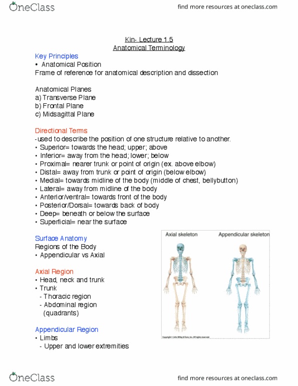 KINE 1P90 Lecture Notes - Lecture 1: Serous Membrane, Thymus, Abdominal Cavity thumbnail