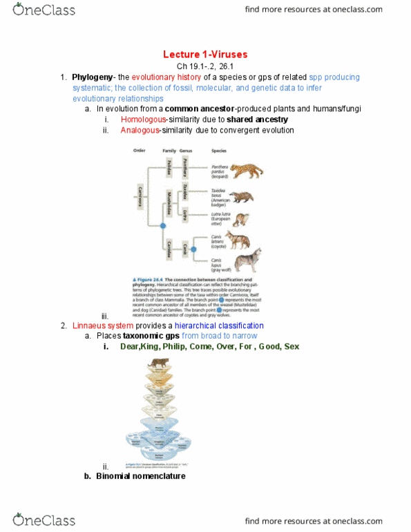 01:119:116 Lecture Notes - Lecture 1: Reverse Transcriptase, Binomial Nomenclature, Cell Membrane thumbnail