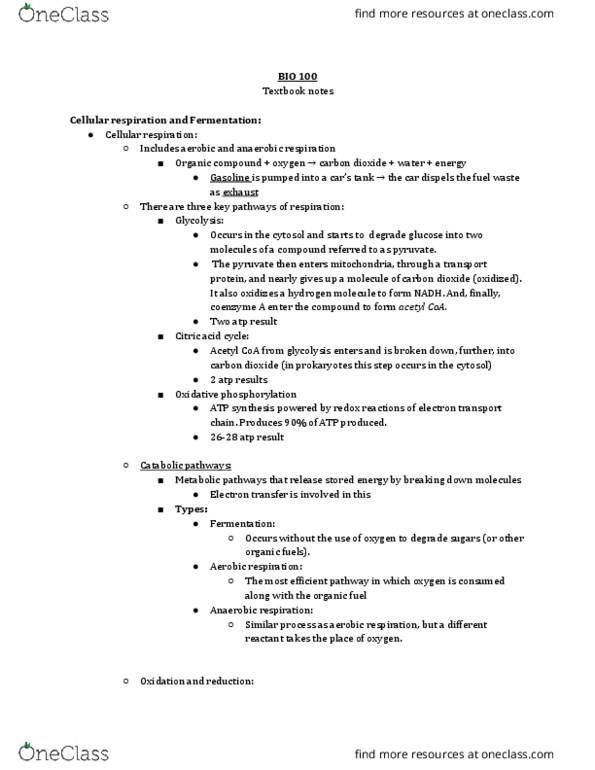 BIO 100 Chapter Notes - Chapter 7: Exergonic Reaction, Oxidative Phosphorylation, Anaerobic Respiration thumbnail