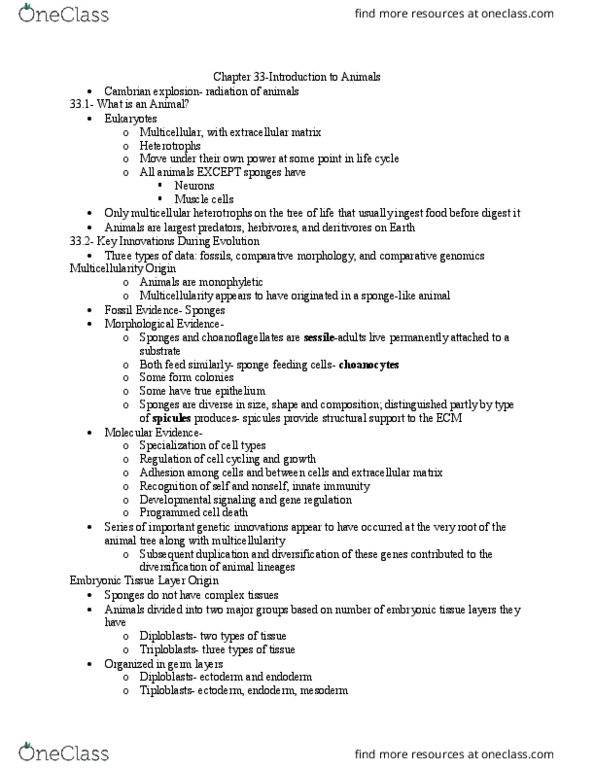 BIOL 119 Chapter Notes - Chapter 33: Programmed Cell Death, Cambrian Explosion, Comparative Anatomy thumbnail