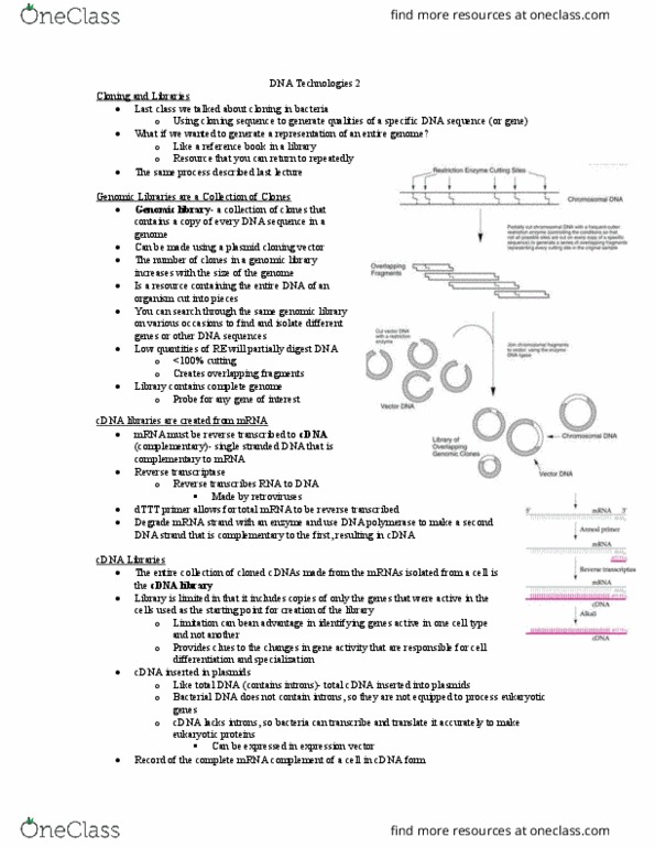 Biology 1002B Lecture Notes - Lecture 2: Expression Vector, Polymerase Chain Reaction, Celera Corporation thumbnail