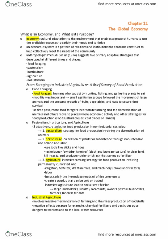 ANTH 2 Chapter Notes - Chapter 11: Periphery Countries, Structural Adjustment, World Economy thumbnail