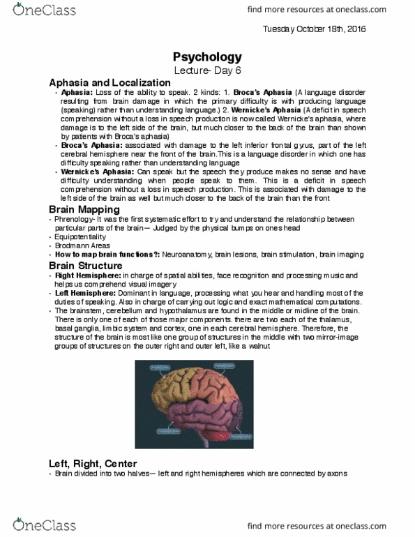 PSYC 100 Lecture Notes - Lecture 6: Postcentral Gyrus, Prefrontal Cortex, Homeostasis thumbnail