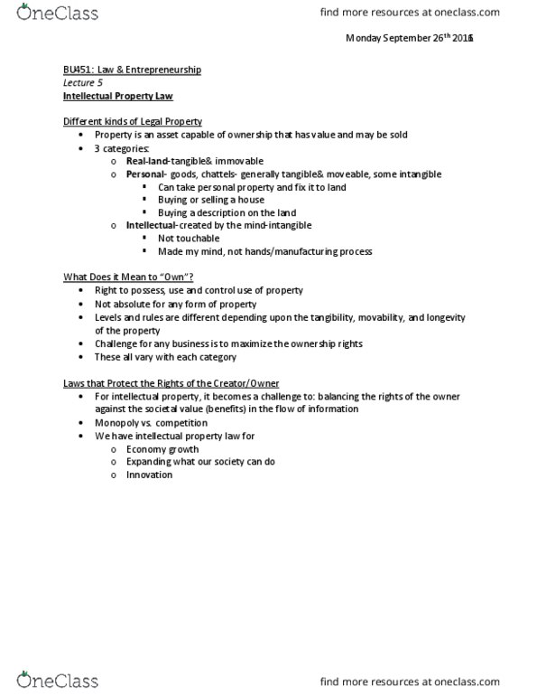 BU451 Lecture Notes - Lecture 5: Software, Mylan, Epinephrine Autoinjector thumbnail